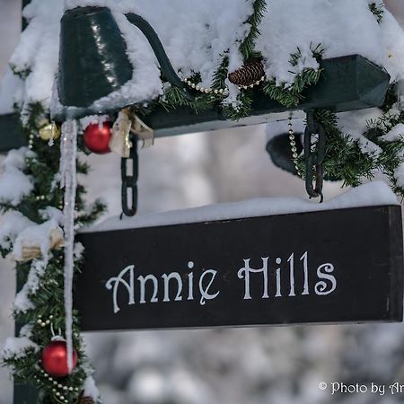 立科町Annie Hills住宿加早餐旅馆 外观 照片