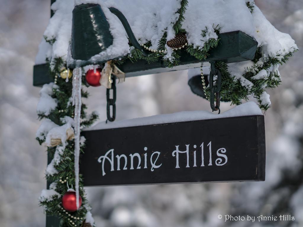 立科町Annie Hills住宿加早餐旅馆 外观 照片